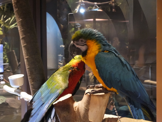 DSCF9970.JPG