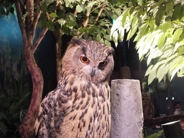 DSCF9983.JPG