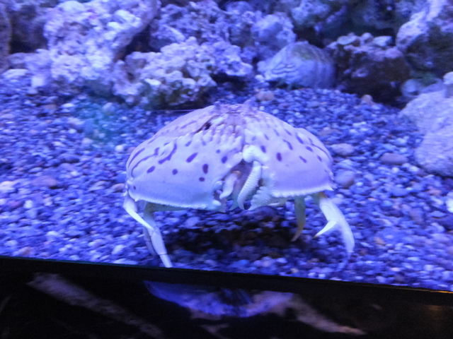 DSCF4750.JPG