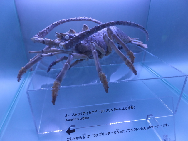 DSCF4747.JPG