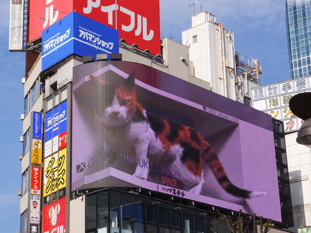 DSCF5757.JPG