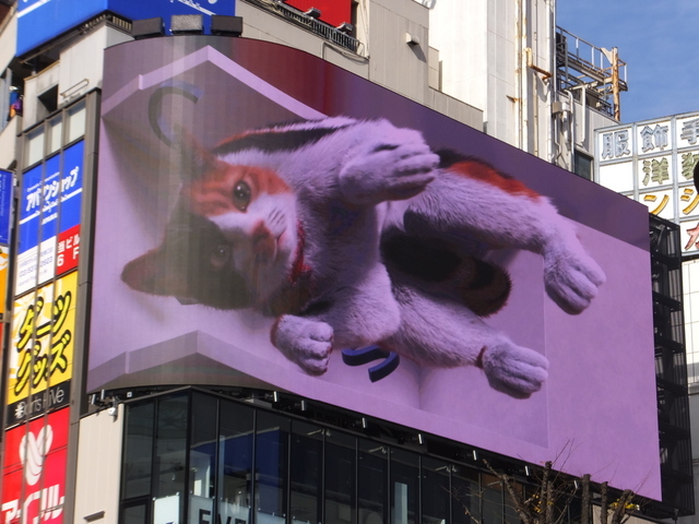 DSCF5775.JPG