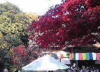 深大寺