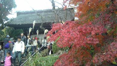 深大寺