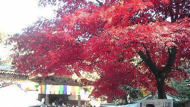 深大寺