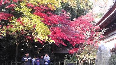 深大寺