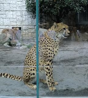 多摩動物公園