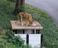 多摩動物公園