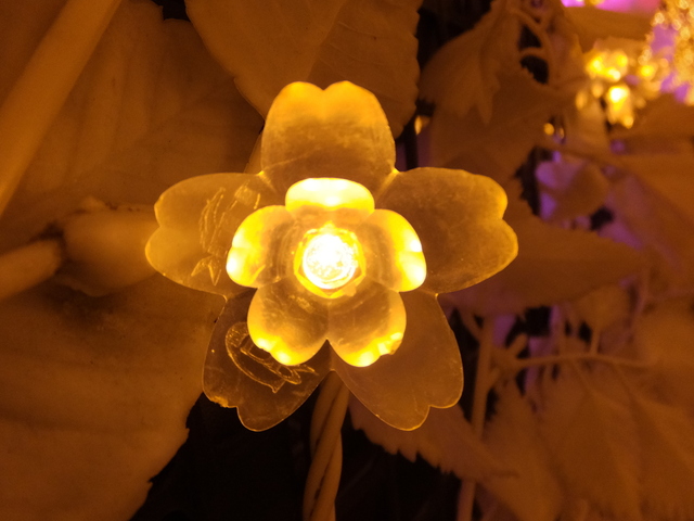DSCF9058.JPG