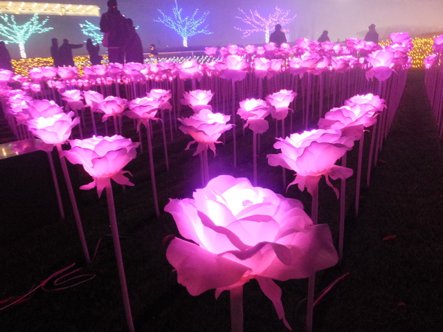 DSCF9080.JPG