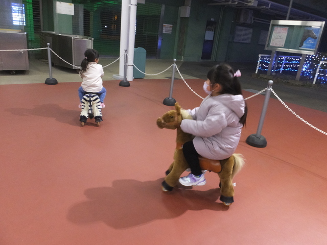 DSCF9124.JPG