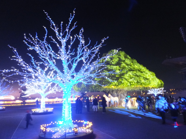 DSCF9130.JPG