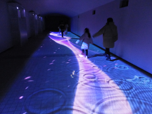 DSCF9152.JPG