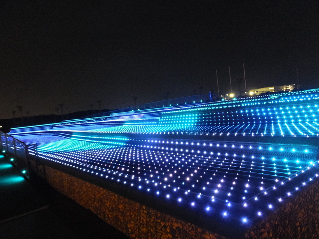 DSCF9155.JPG